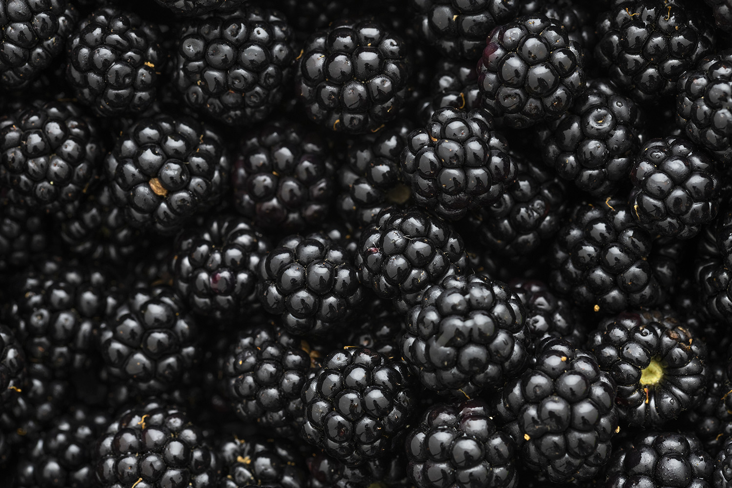 expanded photography Palais de Tokyo